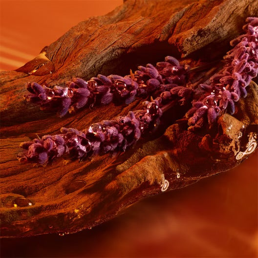 Stronger With You Intensely
Eau de Parfum Spray