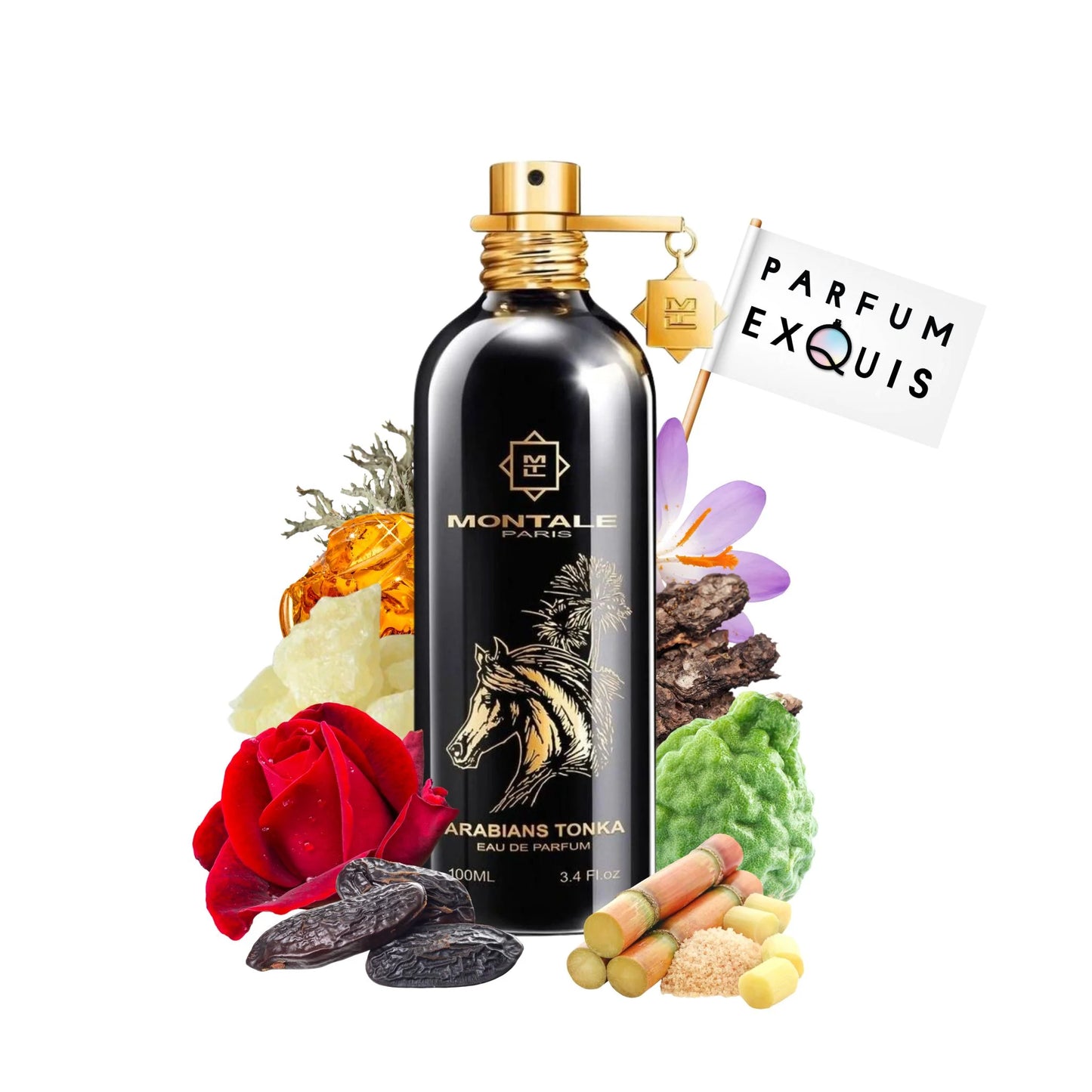 Montale Paris Arabians Tonka Eau De Parfum - Warm & Spicy Unisex Perfume With Bergamot, Rose & Tonka Beans