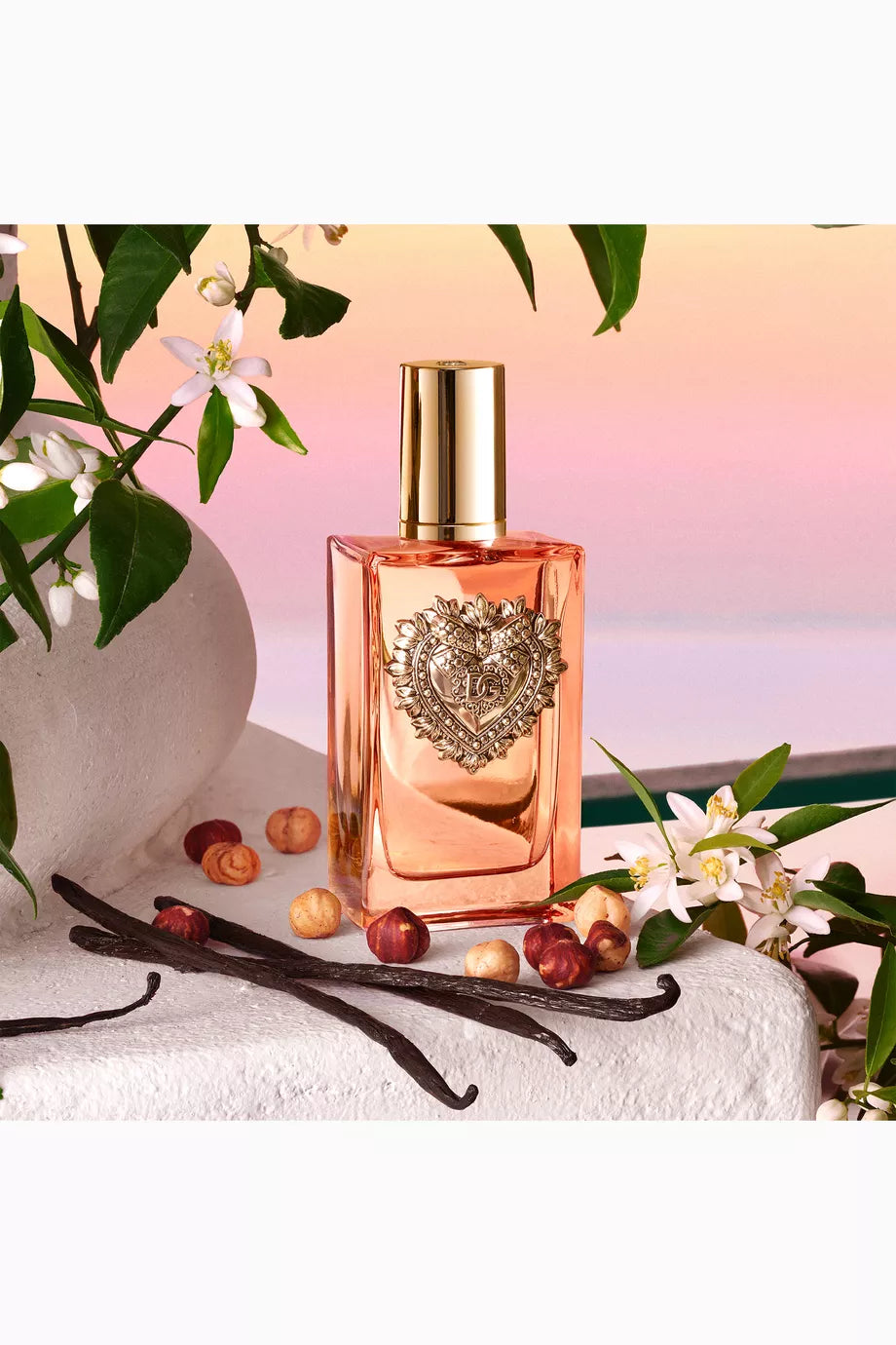 Dolce & Gabbana Devotion Eau De Parfum Pour Femme - 100ml