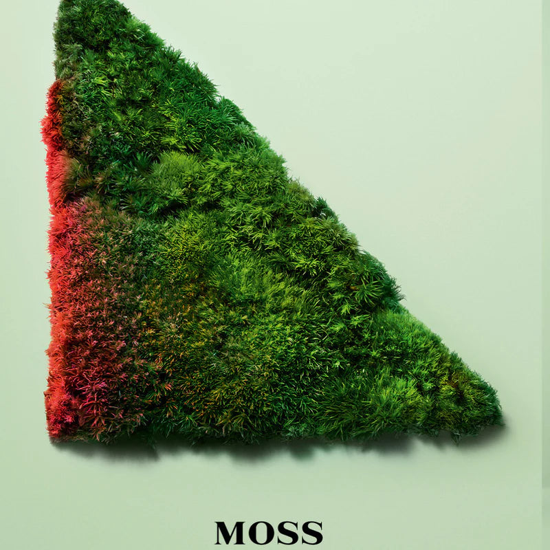 Prada Paradoxe Intense Eau de Parfum For Women