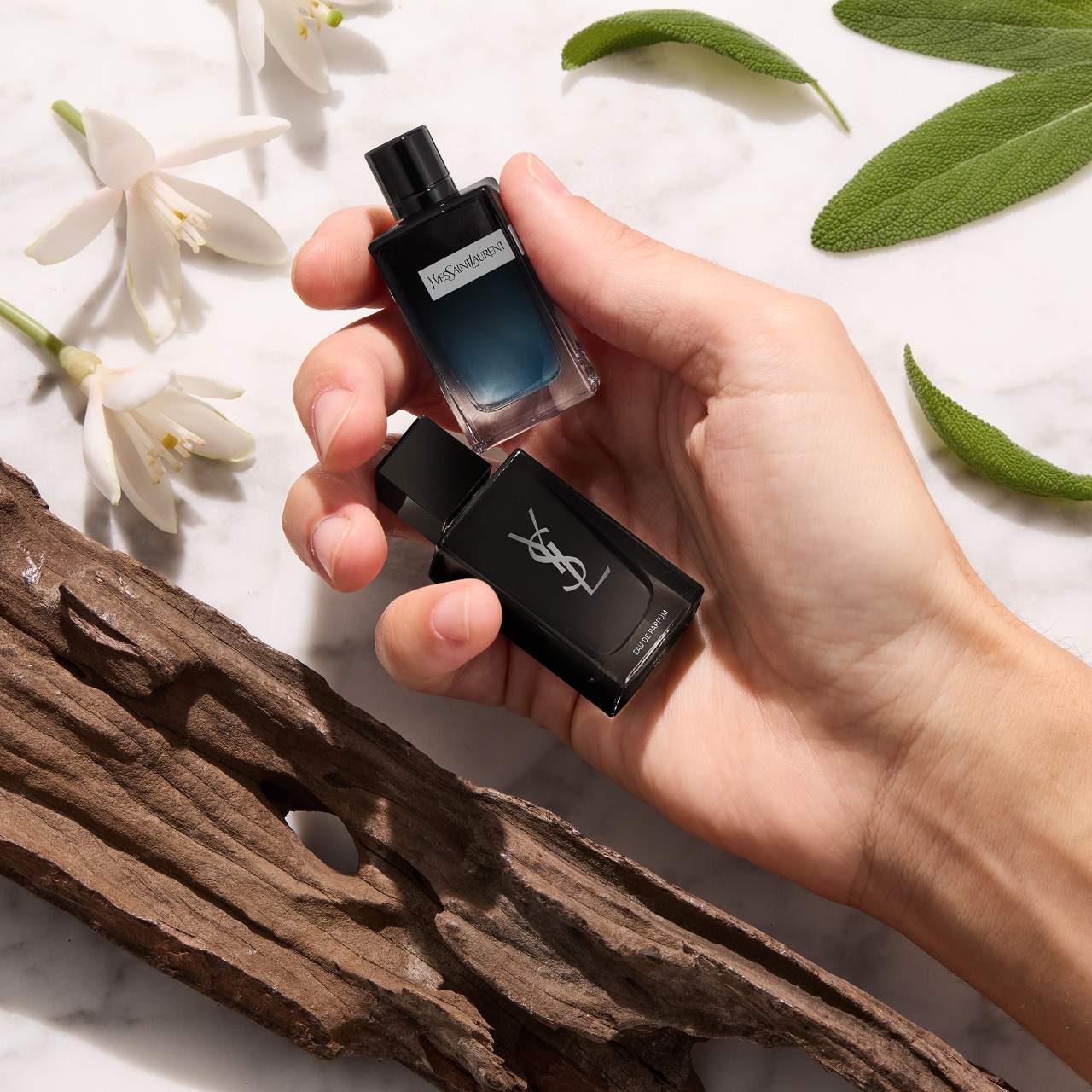 Yves Saint Laurent Y